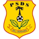 PSDS德利 Logo