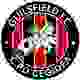 圭斯菲德 Logo