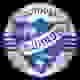 利丁厄女足 Logo