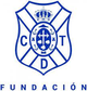 特内里费基金会女足B队 Logo