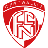 纳特斯 Logo