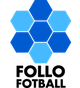 弗洛U19 Logo