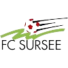 苏尔斯 Logo