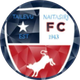 奈泰斯 Logo