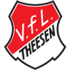 狄森 Logo