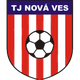 TJ  新星队 Logo