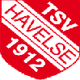 哈韦尔斯U19 Logo