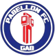 帕贝隆 Logo