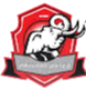 帕克兰联 Logo