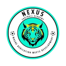 耐克司足球协会青年队 Logo