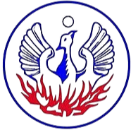 纳奥塞 Logo