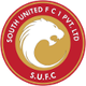南部联女足 Logo