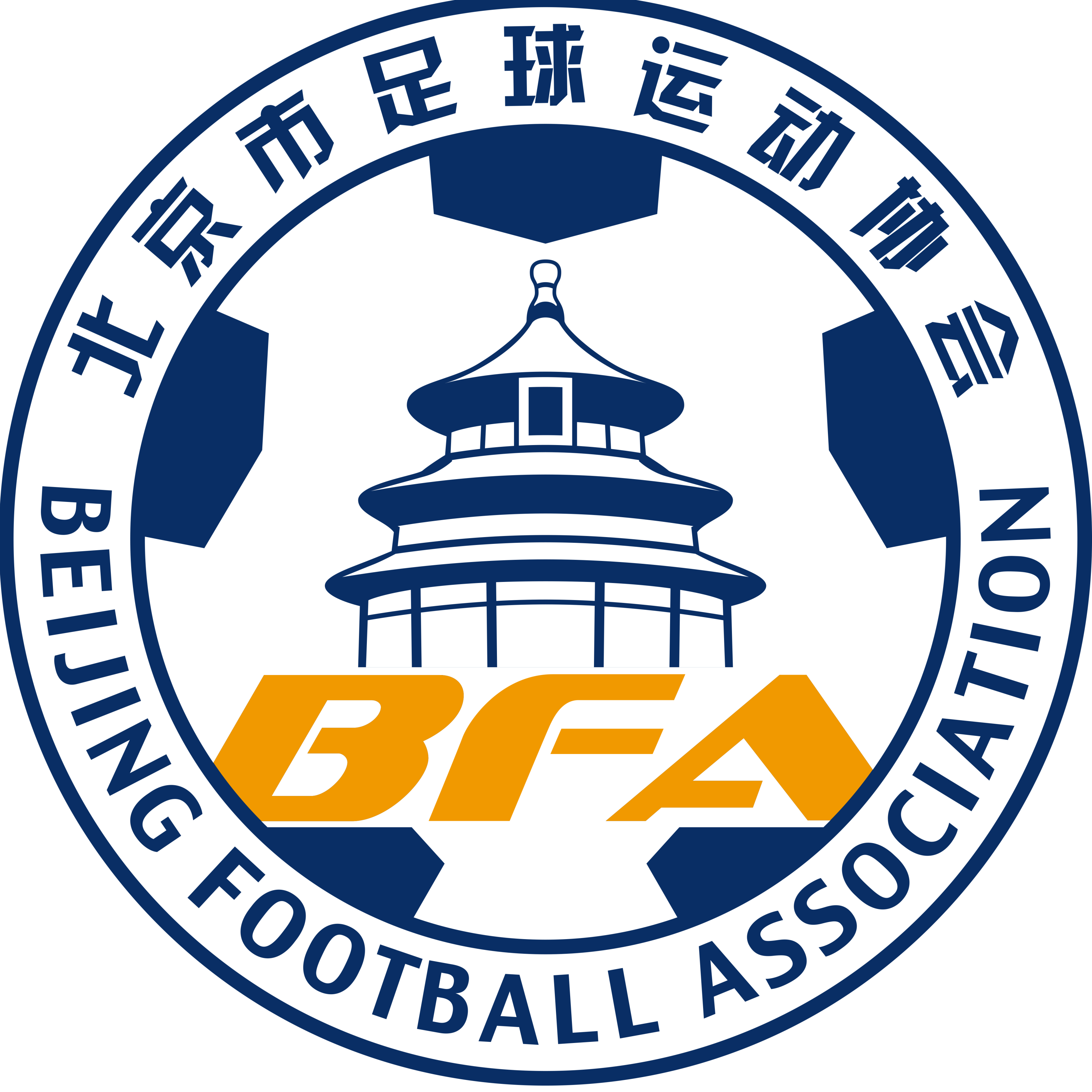 北京全运女足 Logo