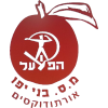 雅坲奥托都西姆 Logo