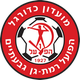 以色列拉马特 Logo