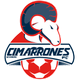 颂娜C队 Logo