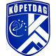 科佩达格 Logo
