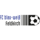 BW费尔德基希 Logo