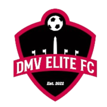 DMV精英足球俱乐部 Logo