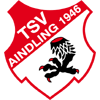 艾德林 Logo