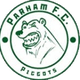 帕尔哈马 Logo