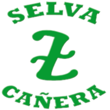 塞尔瓦照相机 Logo