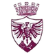 博尔戈塞 Logo