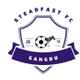 斯特德法斯特 Logo