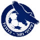 伊若尼内瑟U19 Logo