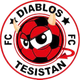 恶魔特斯坦俱乐部 Logo