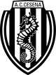 切辛纳女足 Logo