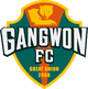 FC江原B队 Logo