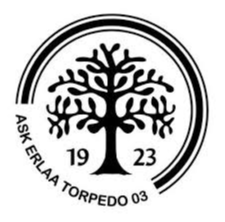 ASK鱼雷03 Logo