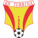 图尔维纳策里克 Logo