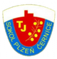 TJS塞尔尼斯 Logo