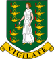 英属维尔京群岛女足 Logo