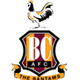 布拉德福德女足 Logo