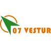 07维斯图尔III Logo
