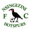 恩辛吉吉尼热刺 Logo