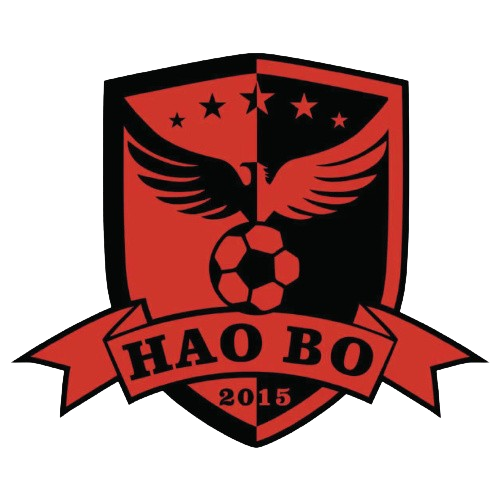 佛山皓博女足 Logo