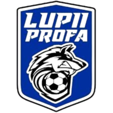 狼教授 Logo