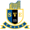 特里尔 Logo