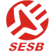 瑟贝U20 Logo