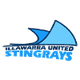 伊拉瓦拉女足 Logo