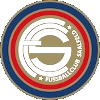 FC萨尔费尔德 Logo