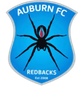 奥本FC Logo