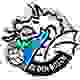丹博斯治青年队 Logo
