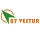 07维斯图尔II Logo