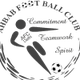 阿班女足 Logo
