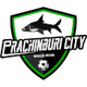 塞克韦夫FC Logo
